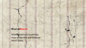 HvacTalkMagazine Mold Treatment Essentials: How to Identify and Remove Mold Safely Image